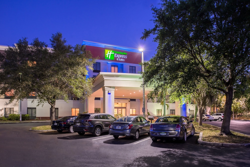 Holiday Inn Express Hotel & Suites Tampa Anderson Rd Veteran by IHG - photo 66