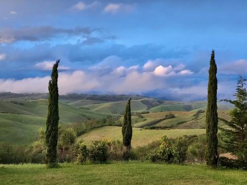 Agriturismo Corte Dainelli — 4-Star Luxury Hotel in Montaione, Italy