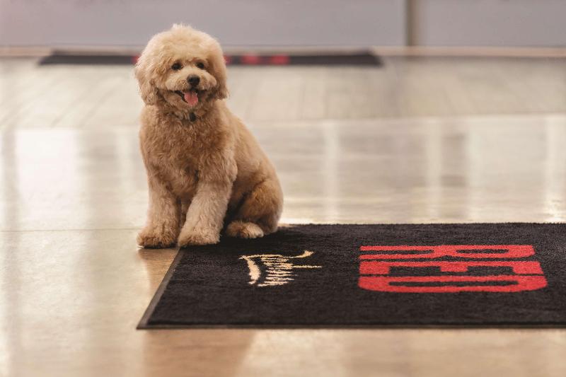 Radisson RED Miami Airport - photo 4