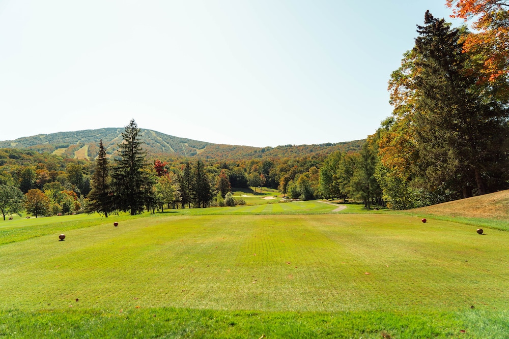 The Black Bear Lodge at Stratton Mountain Resort - photo 28