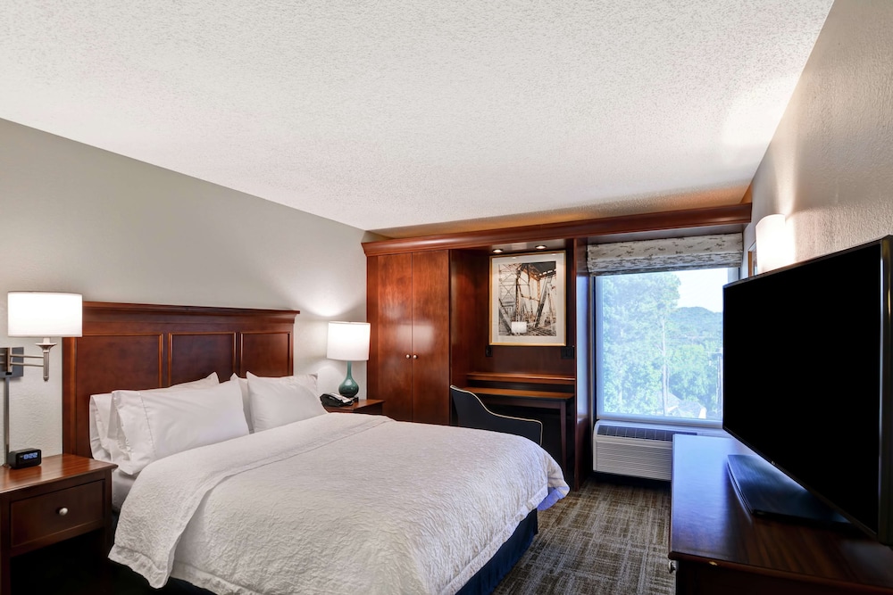 Hampton Inn Birmingham Mountain Brook - photo 9