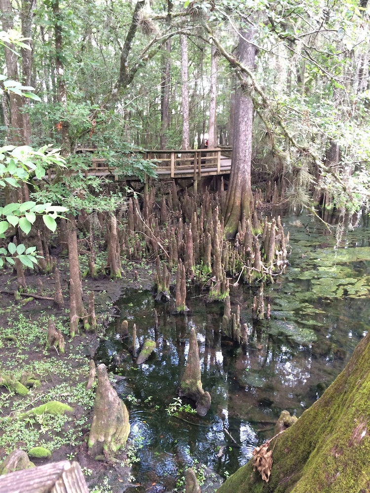 Steinhatchee River Inn - photo 57
