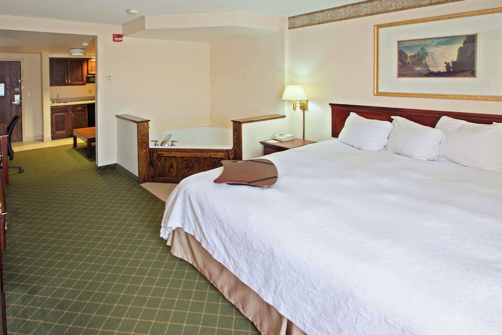 Hampton Inn Marietta - photo 4