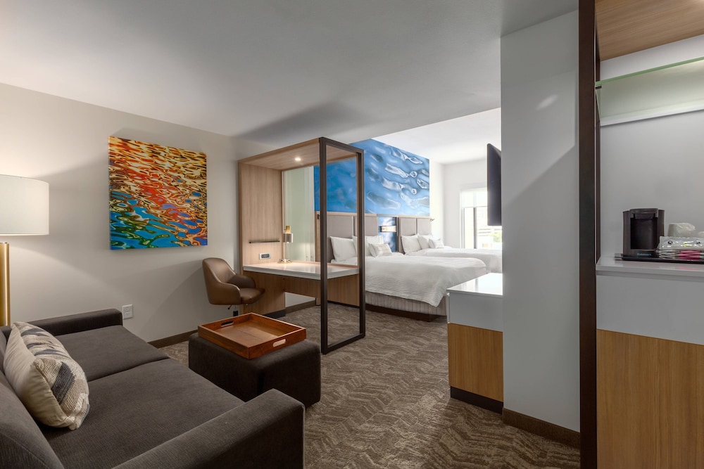 SpringHill Suites by Marriott Bradenton Downtown Riverfront - photo 6