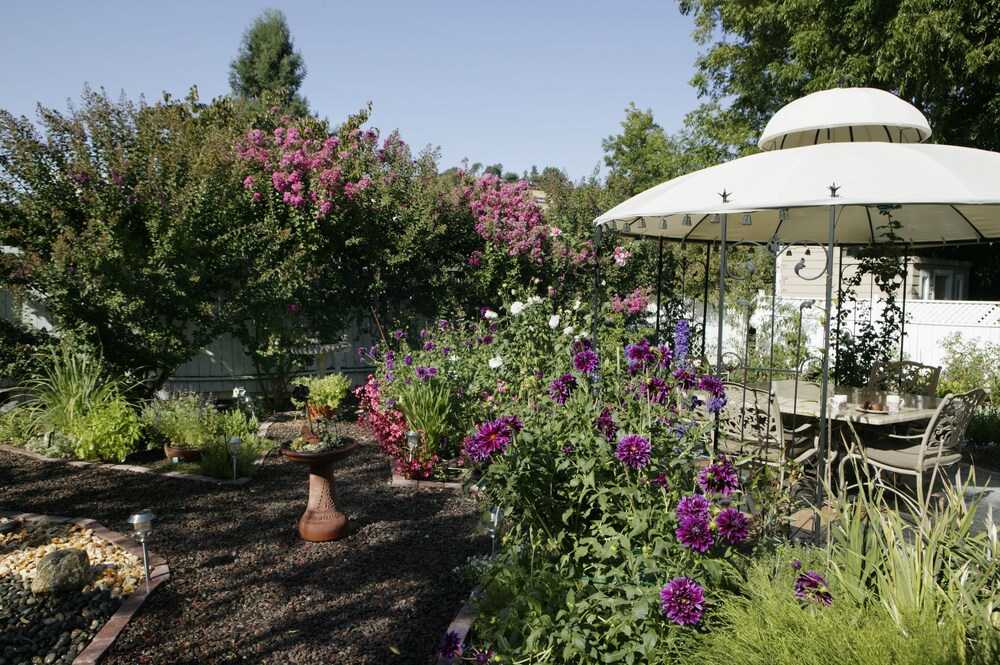 Kelley & Young Wine Garden Inn - photo 43