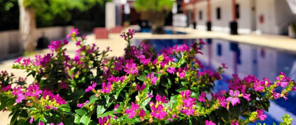 Surintra Boutique Resort - last minute hotel in Phuket