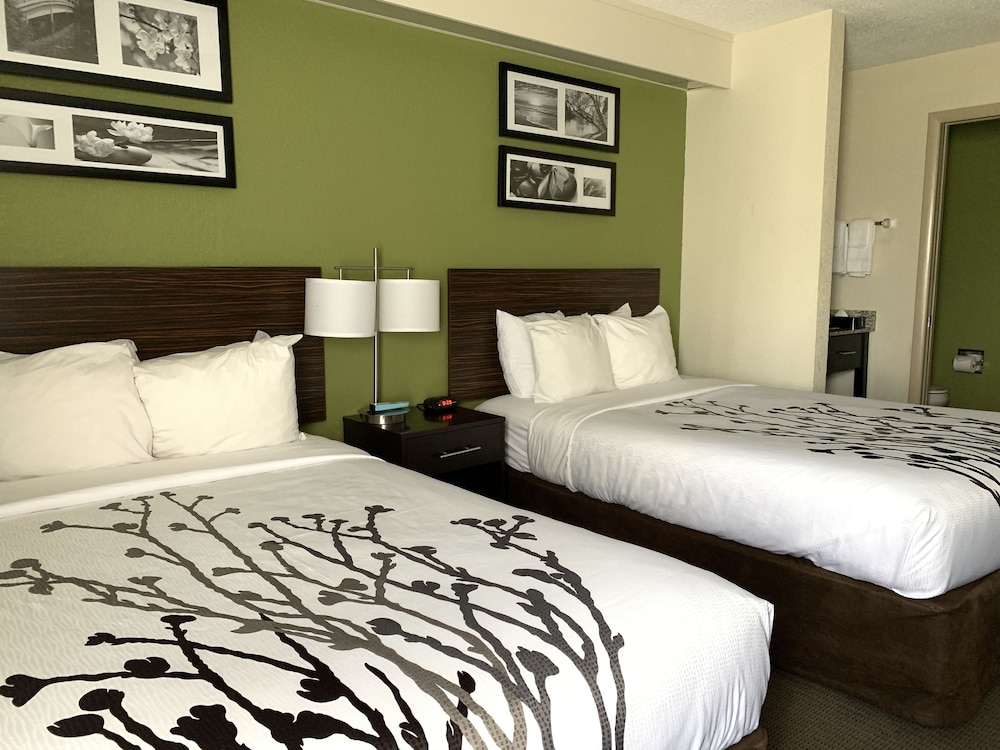 Spark by Hilton Louisville Airport - photo 13