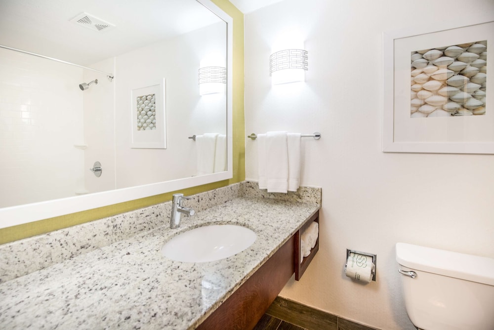 Hilton Garden Inn Orange Beach Beachfront - photo 66