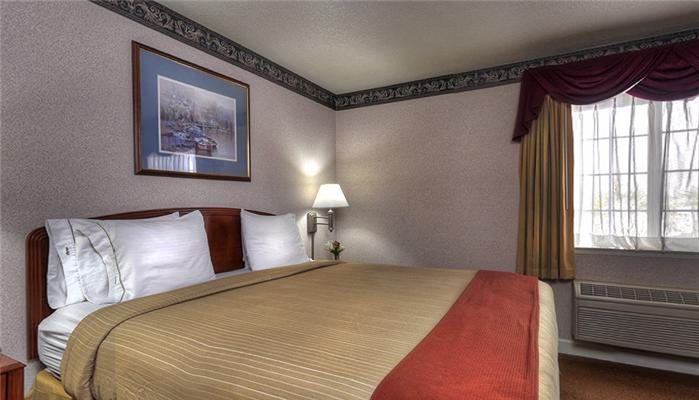 The Hotel Aria - photo 15