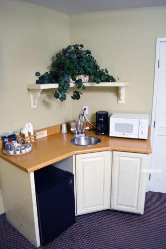 Sebastopol Inn - photo 4