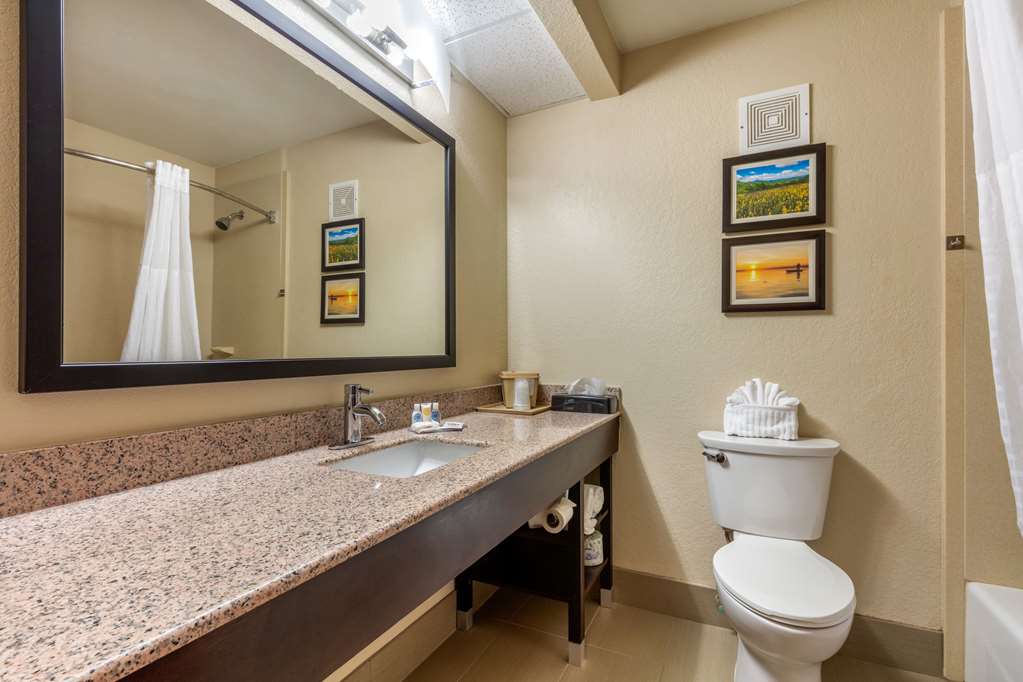 Comfort Inn Lenoir City Knoxville - photo 39