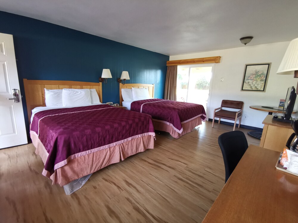 Skylark Shores Resort - photo 13