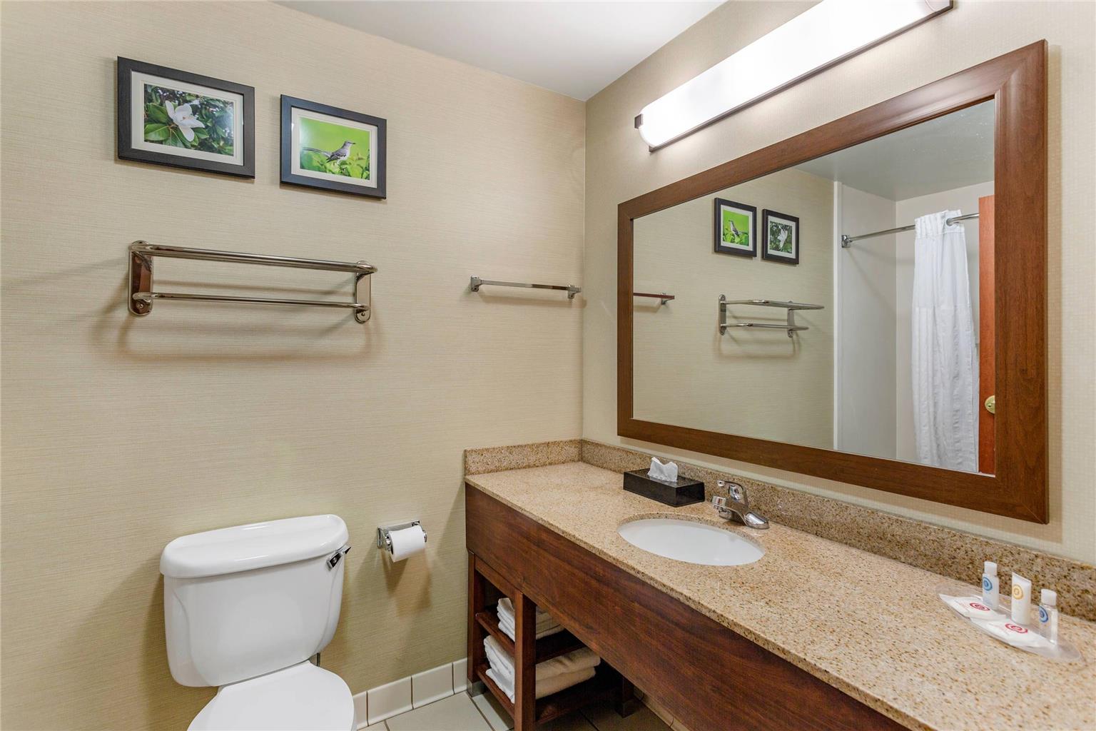 Comfort Suites Southaven Memphis South - photo 19