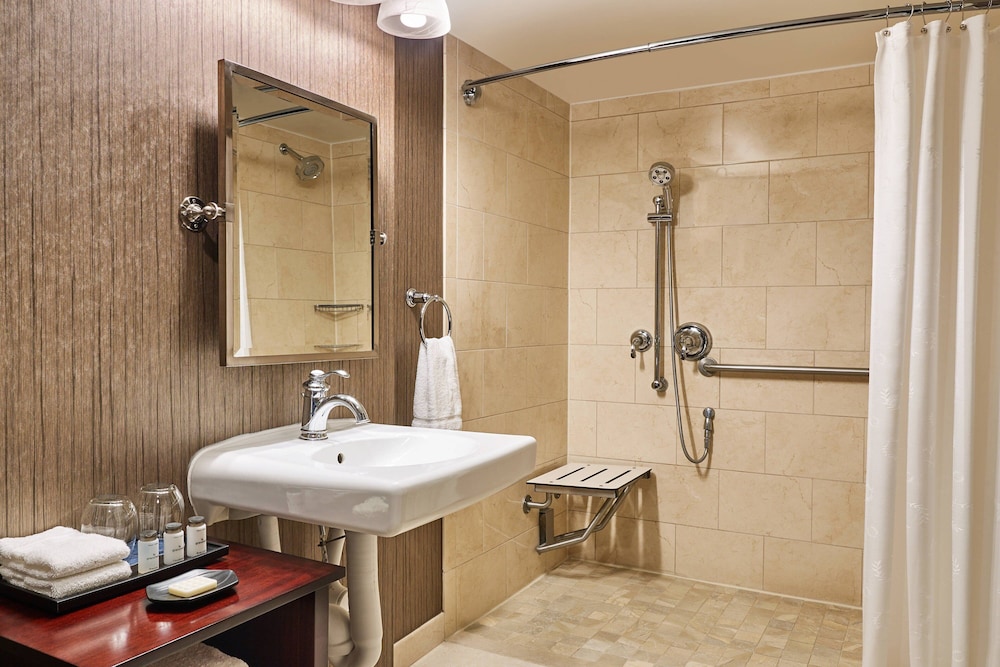 Sheraton North Houston at George Bush Intercontinental - photo 19