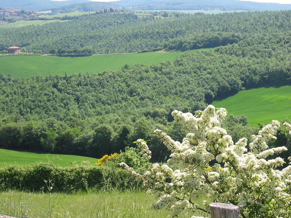 L’Albero Bianco — Acquapendente — photo 3