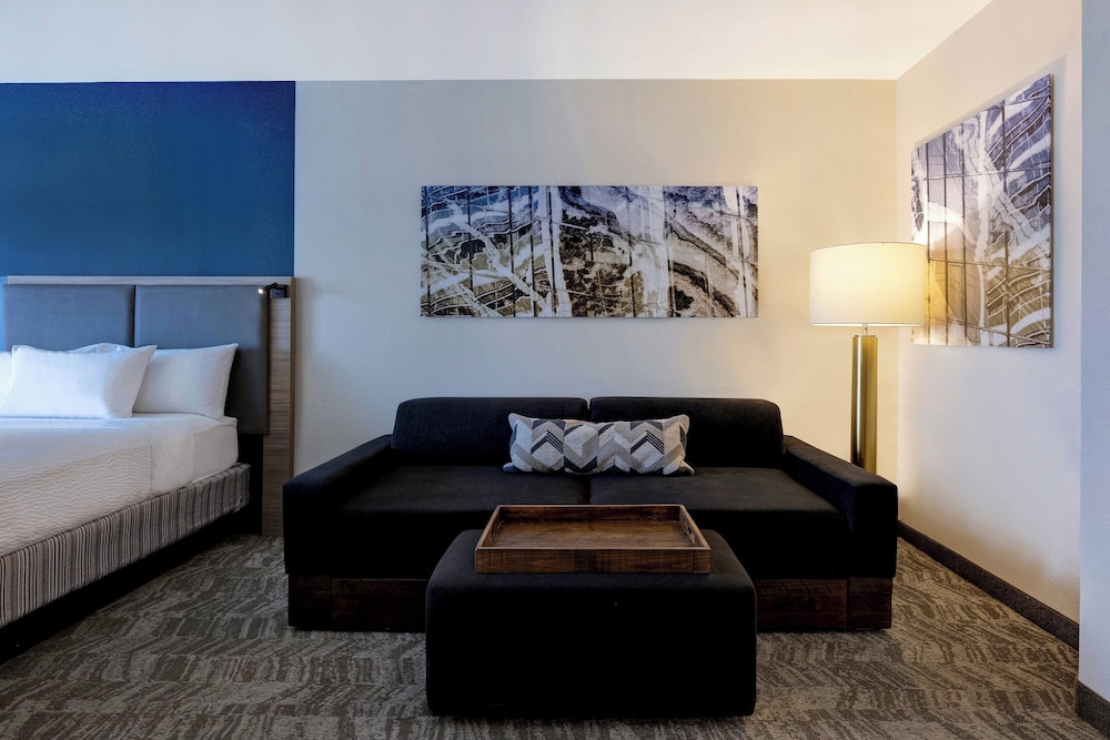 Springhill Suites By Marriott Las Cruces - photo 9