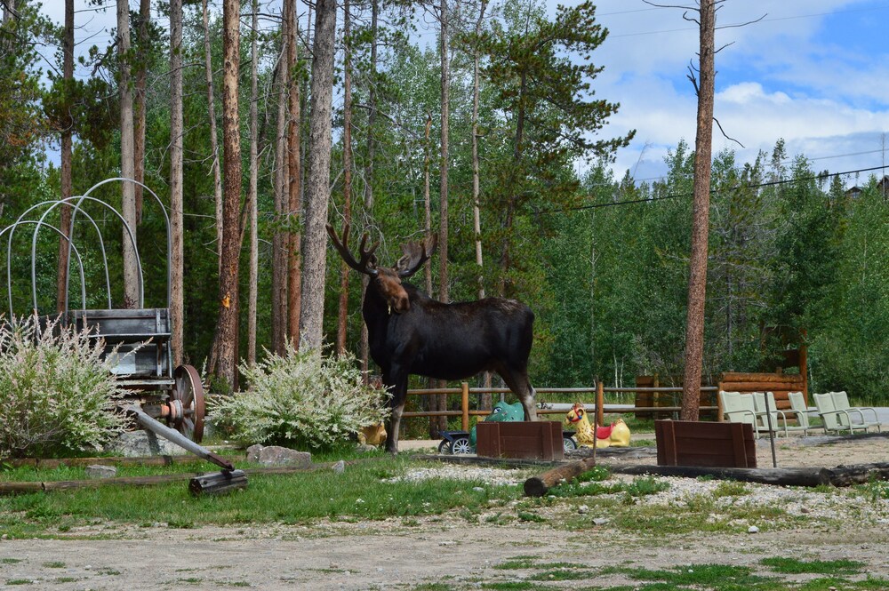 Daven Haven Lodge & Cabins - photo 88