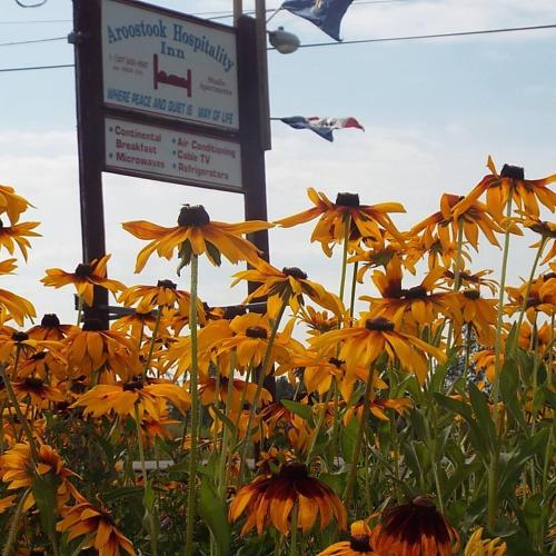 Aroostook Hospitality Inn Washburn Maine USA — hotel in Washburn