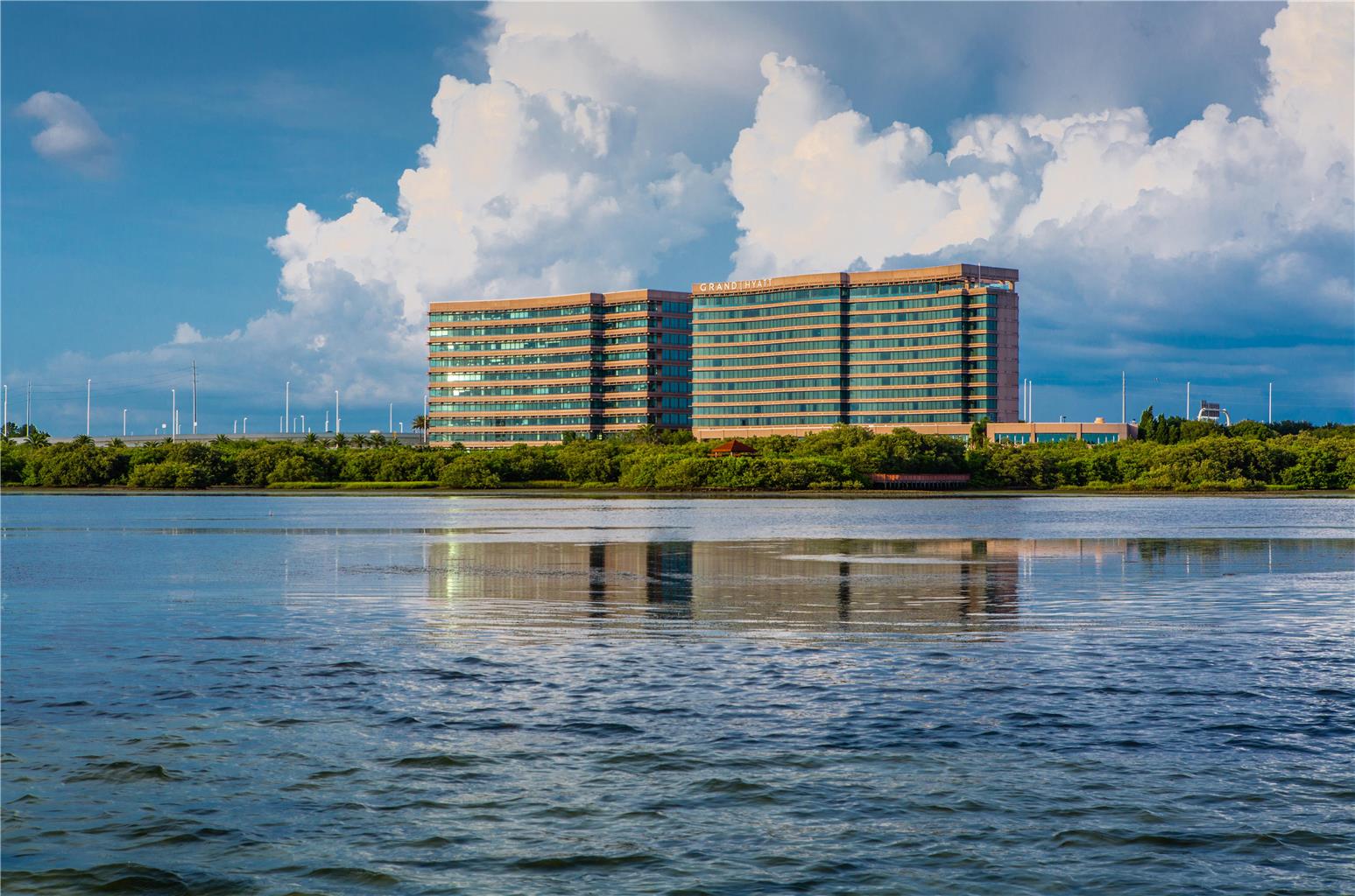 Grand Hyatt Tampa Bay - photo 11