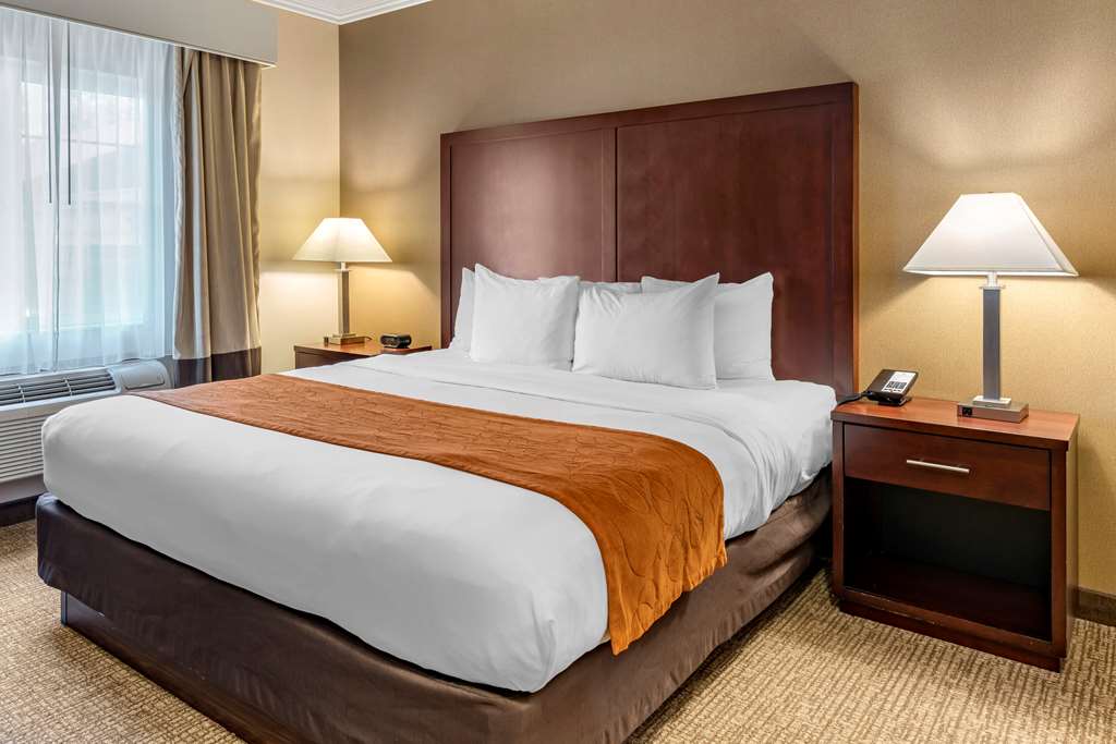 Comfort Suites Linn County - photo 21