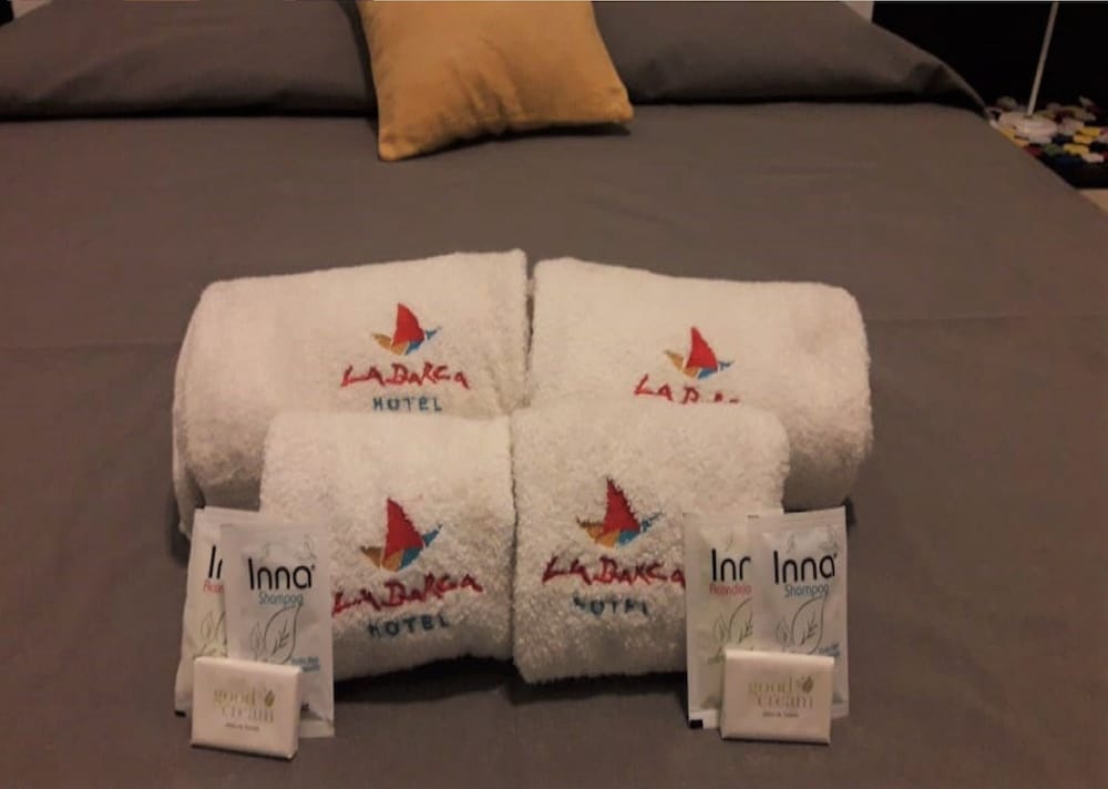 Hotel La Barca — Balvanera — photo 4