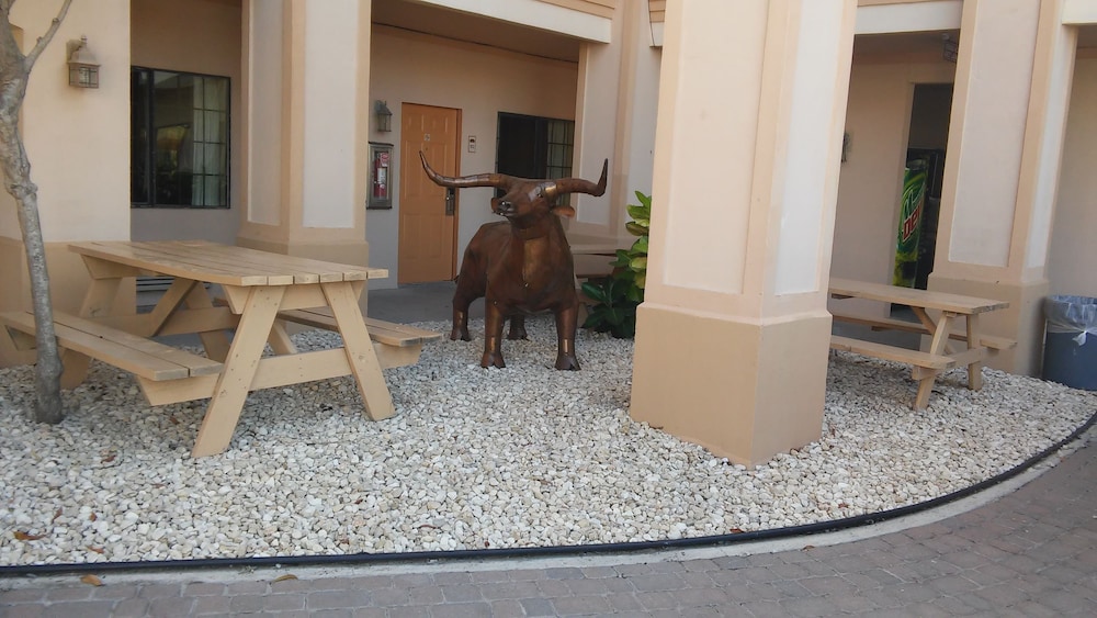 Casa Rosa Inn - photo 30
