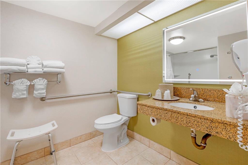 Comfort Inn Anaheim Resort - photo 16