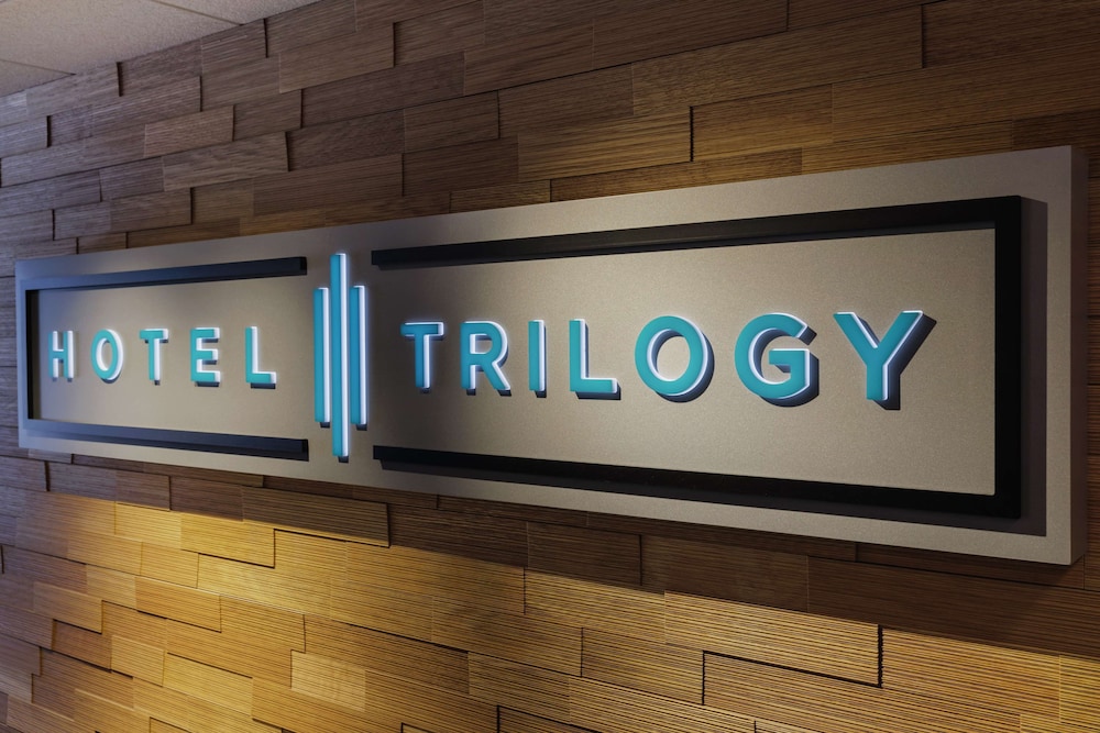 Hotel Trilogy Albany Airport Tapestry Collection by Hilton - photo 6