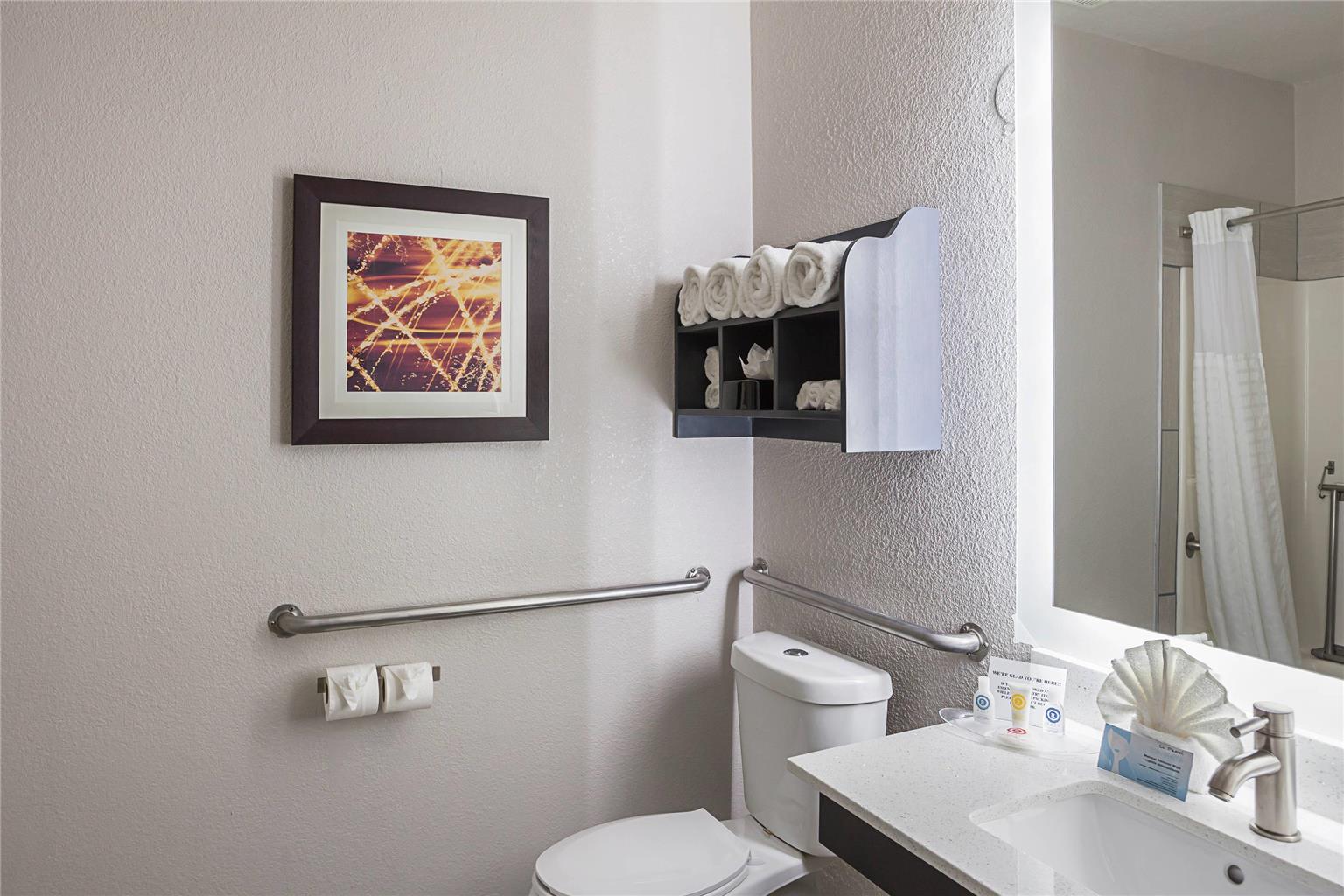 Comfort Suites Lewisville Dallas - photo 19