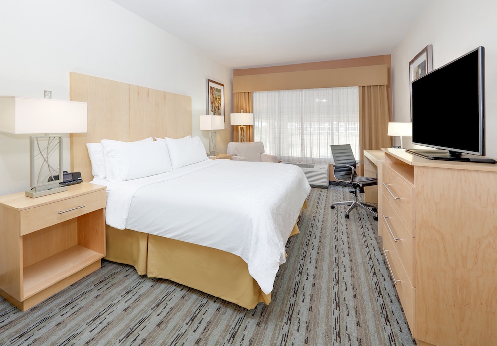 Holiday Inn Express & Suites San Antonio Brooks City Base by IHG - photo 5