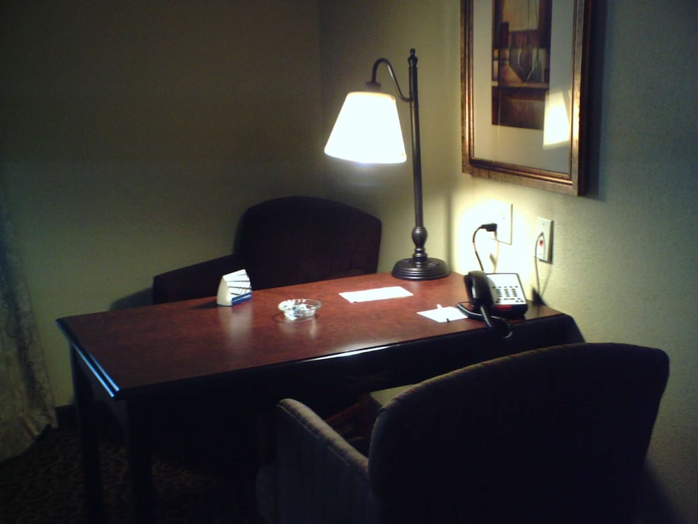 Hampton Inn Vidalia - photo 5