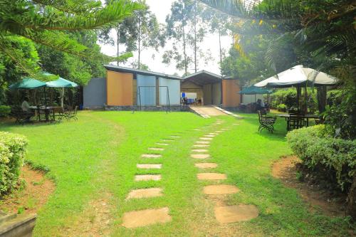 Pereto Gardens — Unknown City — photo 2