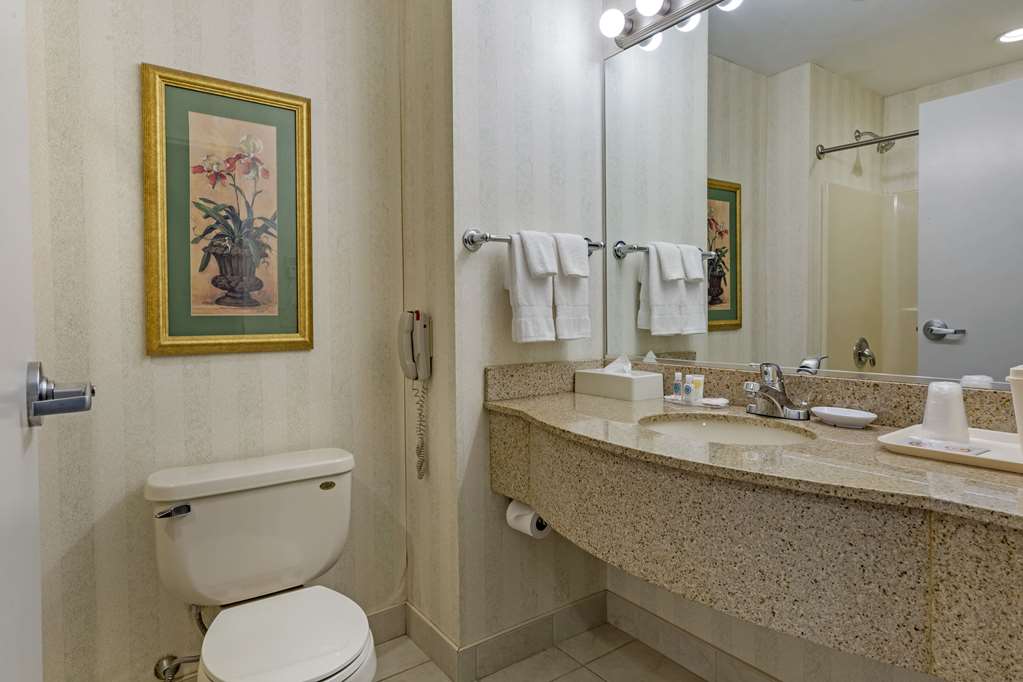Comfort Inn & Suites East Greenbush Albany - photo 14