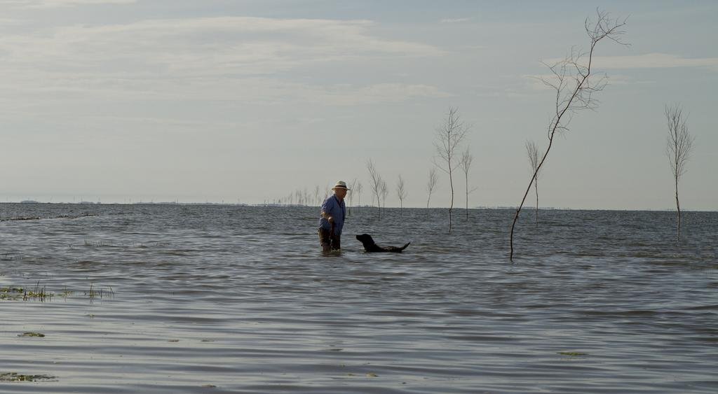 Restaurant Vadehavet Mandø in Ribe, Denmark