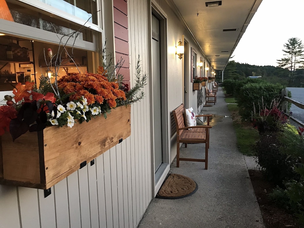 Brittany Motel - photo 56