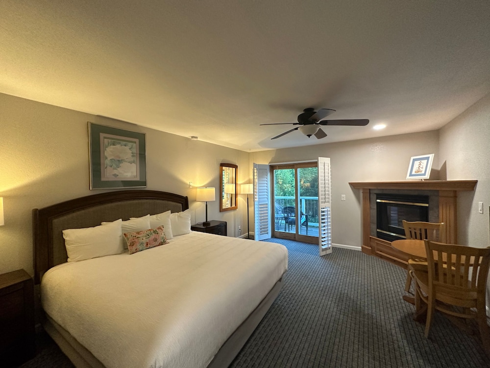 Bluebird Inn - photo 13