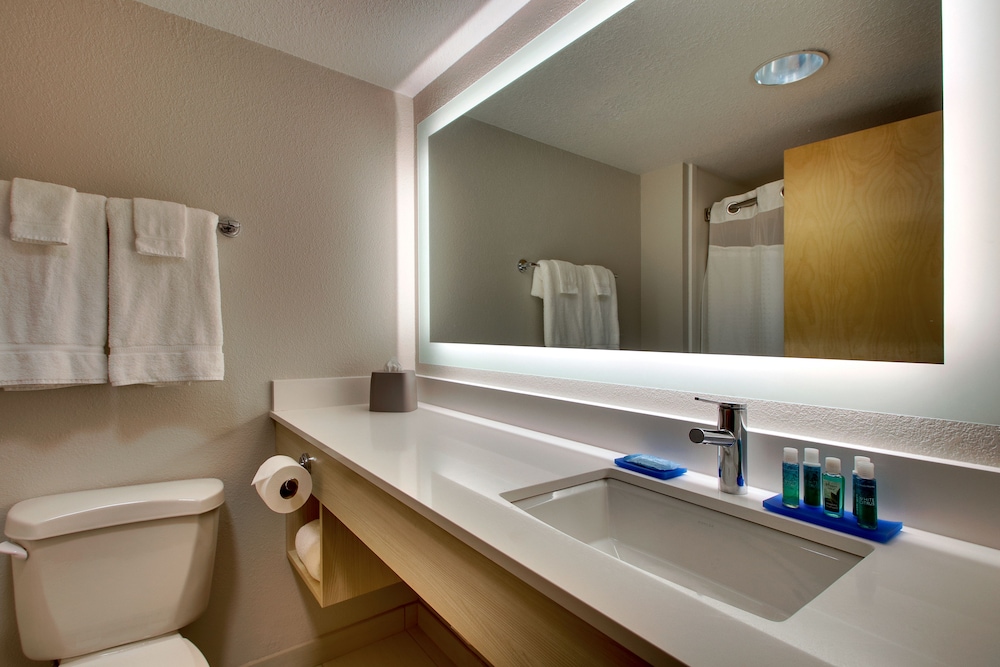 Holiday Inn Express & Suites Interstate 380 at 33rd Avenue by IHG - photo 8