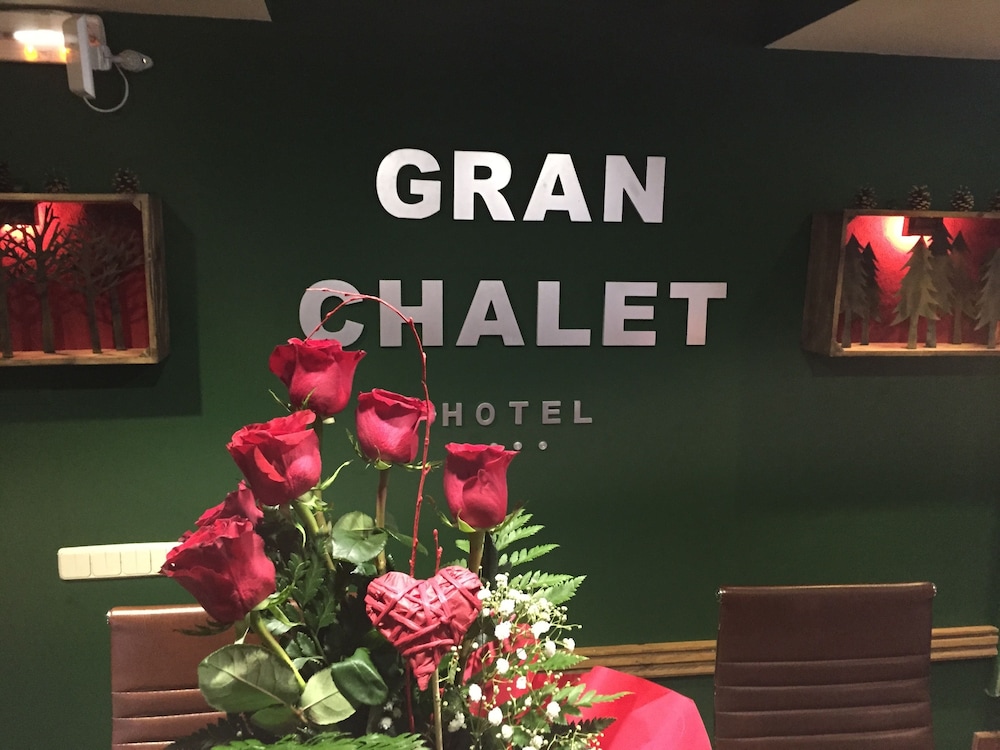 Gran Chalet Hotel — Vielha — photo 2