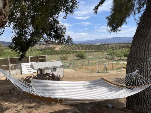 Temecula Rejuvenation — Temecula — photo 5