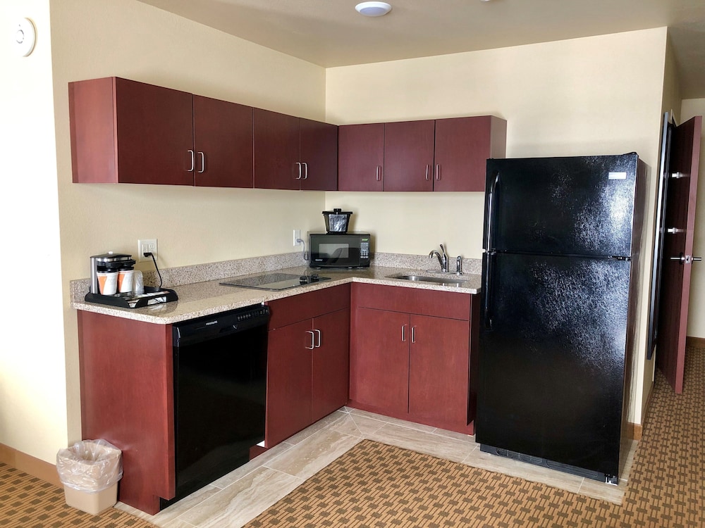 Cobblestone Hotel & Suites Pulaski Green Bay - photo 25
