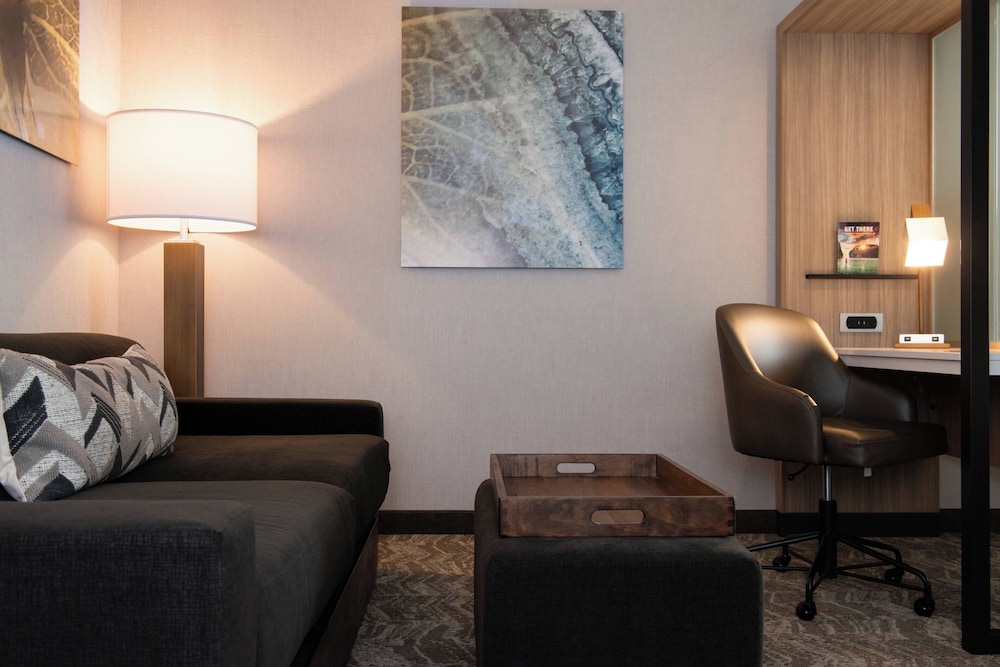 SpringHill Suites by Marriott Elizabethtown - photo 16