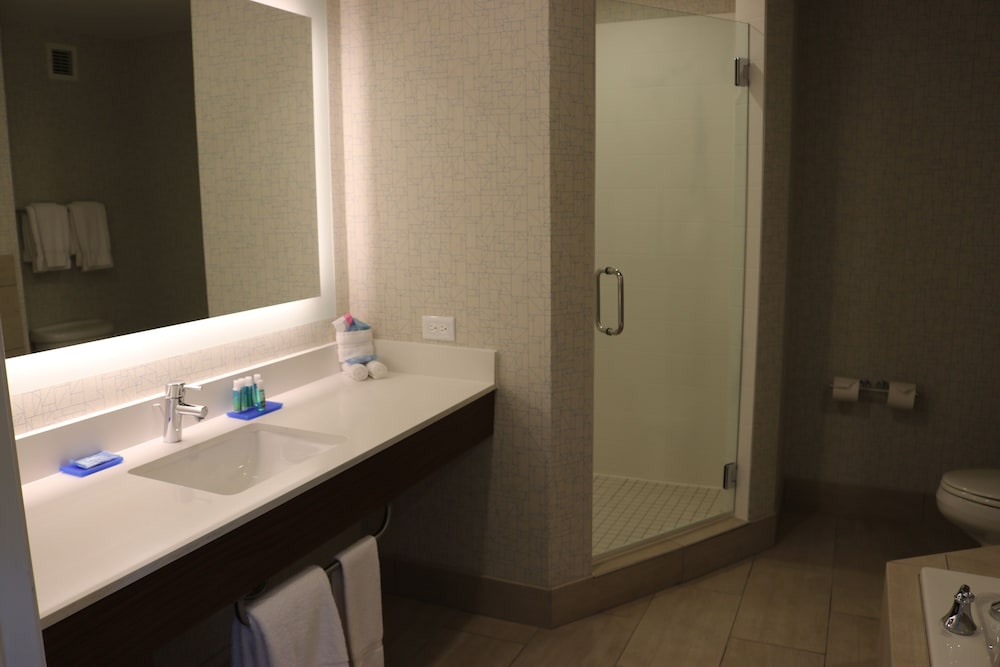 Holiday Inn Express Hotel & Suites El Dorado Hills - photo 43