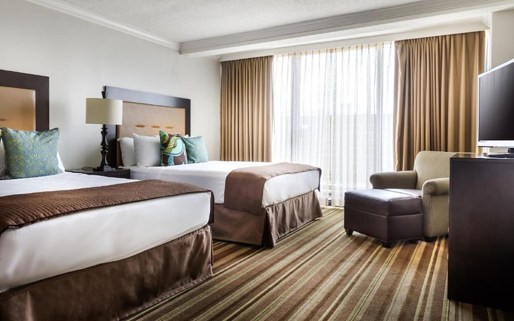 The San Luis Resort Spa & Conference Center - photo 14