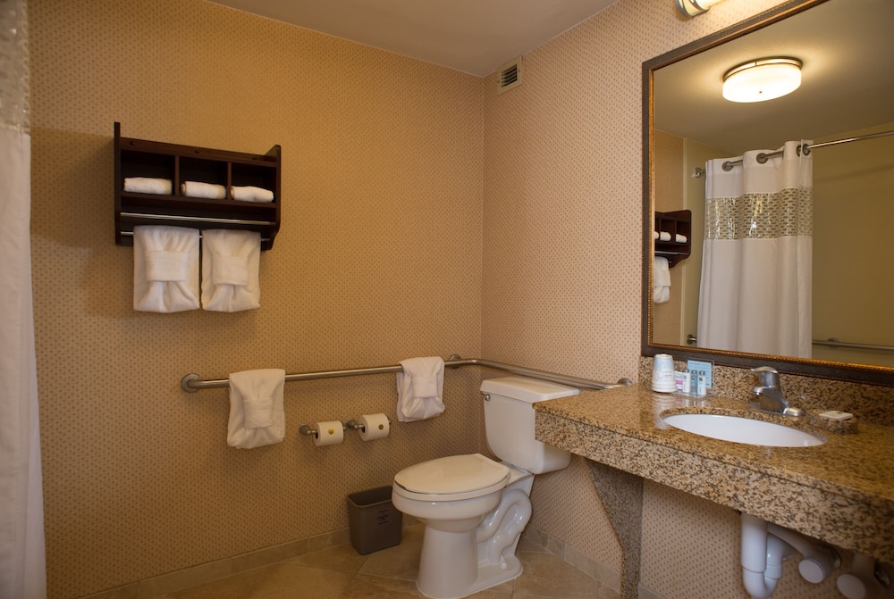 Hampton Inn & Suites Pigeon Forge On The Pkwy - photo 19