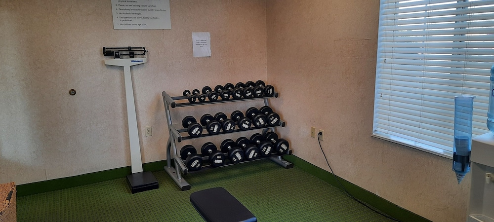 Holiday Inn Express & Suites New Buffalo by IHG - photo 27