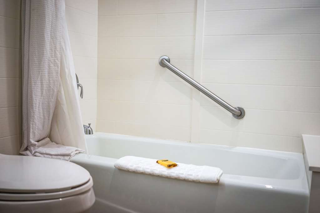 Best Western Plus Dubuque Hotel & Conference Center - photo 53