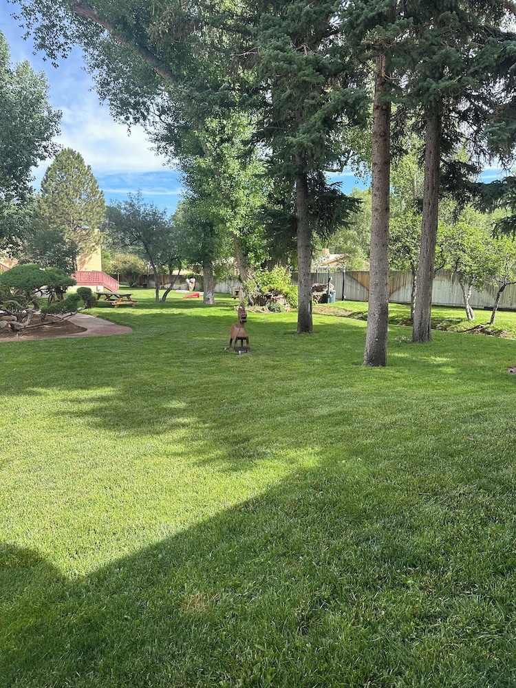 El Pueblo Lodge - photo 67