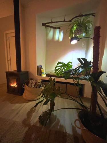 Sopas e Descanso in Grandola, Portugal