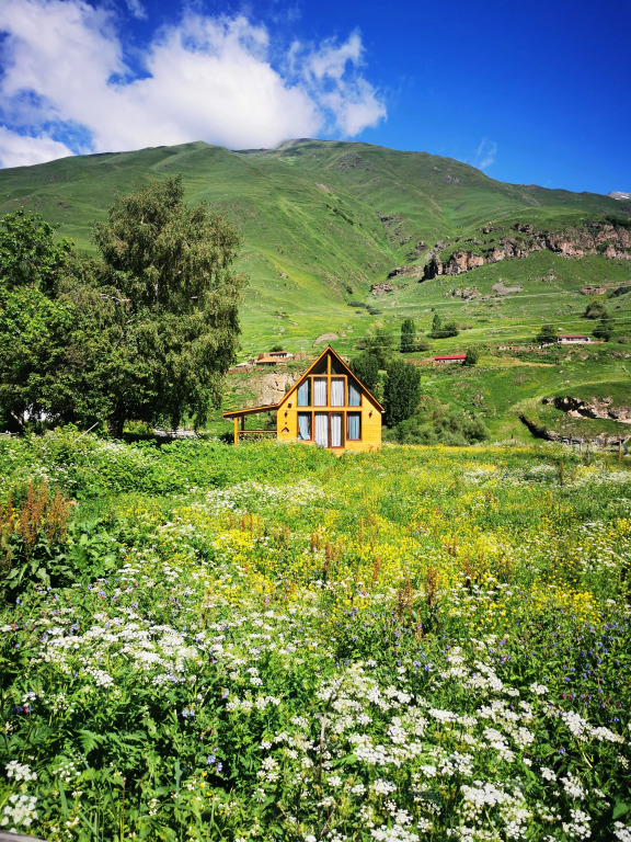 Kazbegi Mountain Cottage MTA Shi