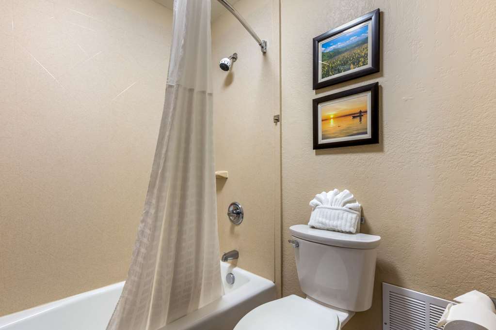 Comfort Inn Lenoir City Knoxville - photo 36